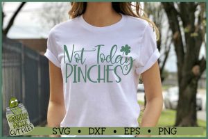 Not Today Pinches St. Patrick's Day SVG File