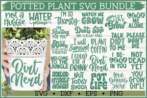 Potted Plants SVG Bundle